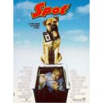 Spot - affiche originale de cin�ma - format 40x60 cm - un film de john whitesell avec david arquette, ...