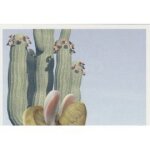 Sticker autocollant lapin crtin panini n 29