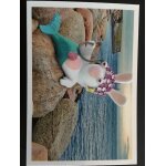 Sticker autocollant lapin cr�tin carrefour panini n17