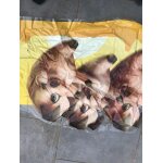 Sticker autocollant publicitaire du film pour vitrine la ferme se rebelle - home on the range - les 3 ...
