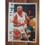 Sticker panini basket 95 96 numro 17 glen rice