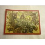 Sticker panini pirates des cara�bes 3 n99