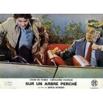 Sur un arbre perch�: photo d'exploitation cin�matographique - format 24. 5x30 cm - de serge korber avec ...