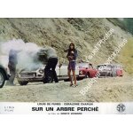 Sur un arbre perch� - photo d'exploitation cin�matographique - format 24x30cm - de serge korber avec ...