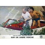 Sur un arbre perch� - photo d'exploitation cin�matographique - format 24x30cm - de serge korber avec ...