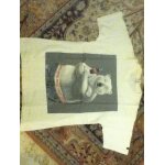 Tee - shirt blanc coca - cola avec ours polaire et bouteille