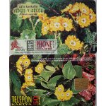 Tlcarte fleurs oreilles d'ours hongrie