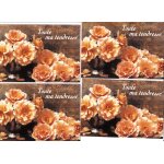 Toute ma tendresse c�line carterie um 2036