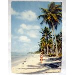 Thaiti . atoll d'anna