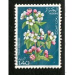 Timbre oblit�r� alg�rie, malus communis, 1. 40