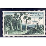 Timbre de poste a�rienne de madagascar (for�t de pachypodes)