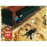 Tintin et le temple du soleil (animation) : photo d'exploitation cinmatographique - format 22. 5x28. ...