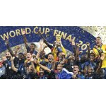 Toile equipe de france 60x40cm football victoire coupe du monde 2018 poster photo murale maillot