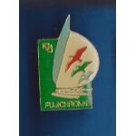 Trimaran bateau fuchjichrome pin's ref 1306