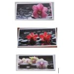 Trois cartes doubles avec de d�licates orchid�es sur des pierres noires avec des gouttes d'eau - mod�les ...