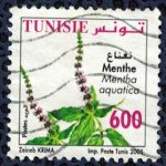 Tunisie 2005 oblit�r� used plantes m�dicinales menthe aquatique