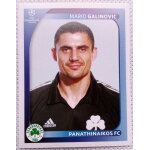 Uefa champions league 2008 / 2009 - panathinaikos fc n384 mario galinovic - foot, autocollant, sticker, ...