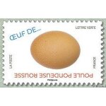 Œufs d'oiseaux poule pondeuse rousse Œufs d'oiseaux poule pondeuse rousse