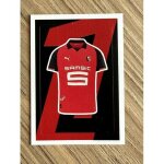 Vignette panini foot france 2025 2026 n462 : maillot rennes