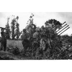 Ww2 - pi�ce de flak allemande a caen en 1944