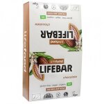 Barre lifebar chocolat bote x15