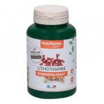 Lithothamne 200 glules