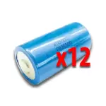 Bft paquet 12 batteries pour photocellules barre palpeuse 2600425 n999465