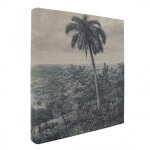 Album photo traditionnel palmier 600 photos 10x15 cm Album photo traditionnel palmier 600 photos 10x15 cm