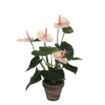 Anthurium plante artificielle rose clair en pot h40 Anthurium plante artificielle rose clair en pot h40