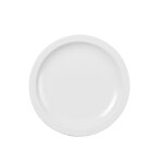 Assiette plate 24, 5cm en plastique blanc