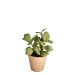 Basilic en pot effet terre cuite artificiel vert h14