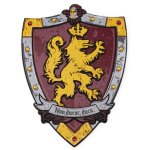 Bouclier de chevalier en mousse 44x8 cm