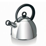 Bouilloire oslo 1, 5 l en inox argent
