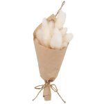 Bouquet de chatons beiges