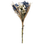 Bouquet d'lments schs beiges
