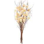 Bouquet fleurs rondes sches beiges