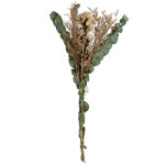 Bouquet de fleurs s�ch�es beige