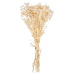 Bouquet de fleurs sches crues