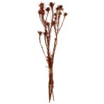 Bouquet de fleurs sches marron, orange et rouge