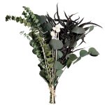 Bouquet de fleurs s�ch�es vertes