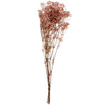 Bouquet de fleurs sches vieux rose