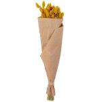 Bouquet de phalaris jaune sches