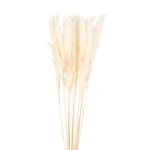 Bouquet de plumeaux schs