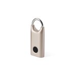 Cadenas biomtrique empreintes digital en acier inoxydable or