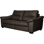 Canap 2 places en cuir chocolat