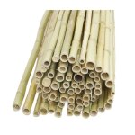 Canisse en bambou 1, 5 x 1, 8 m