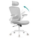 Chaise de bureau ergonomique support lombaire appui - t�te gris