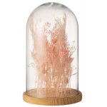 Cloche avec fleurs sches en verre rose 22x22x37 cm