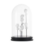 Cloche en verre et bustes blancs