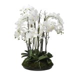 Composition d'orchide artificielle avec mousse blanche et verte h90